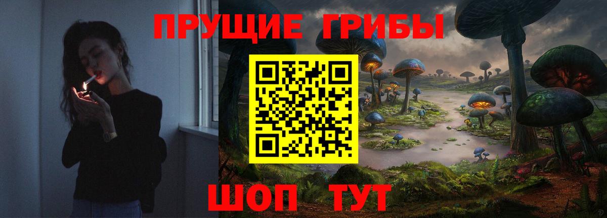 Псилоцибиновые грибы Psilocybine cubensis Оренбург